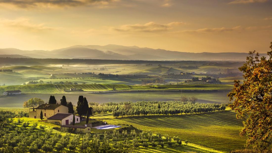 Winery Tours