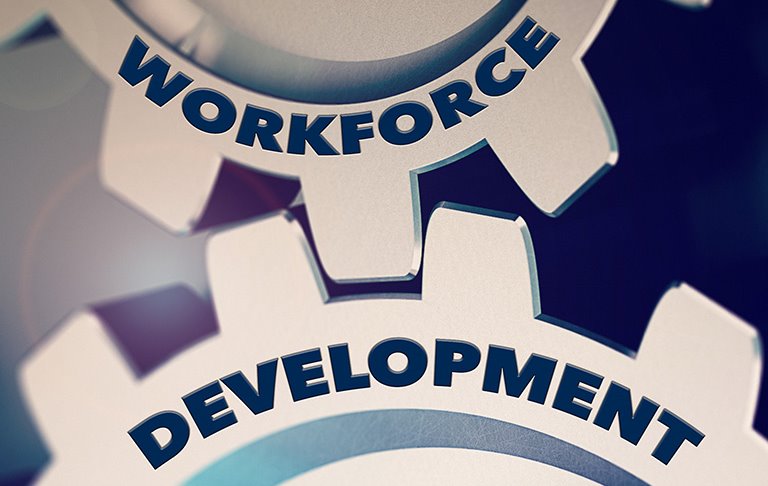 Workforce Development