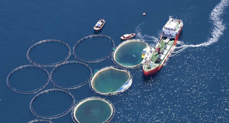 Sustainable Fisheries
