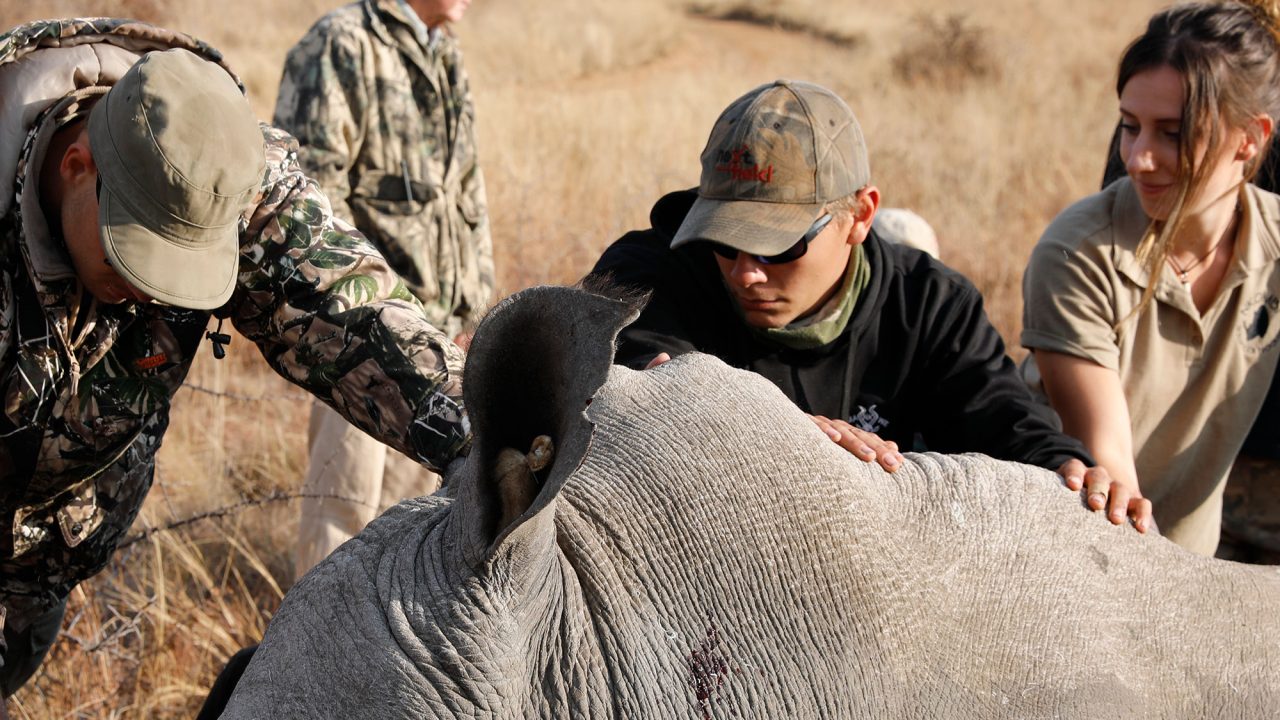 Wildlife Conservation