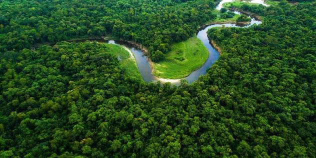 Forest Conservation