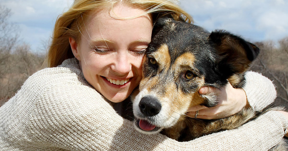 Pet Adoption