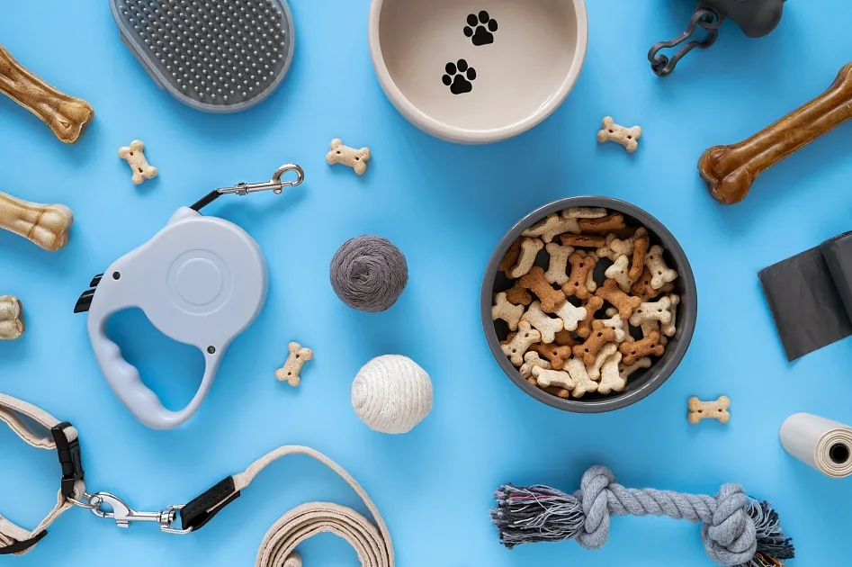Pet Accessories