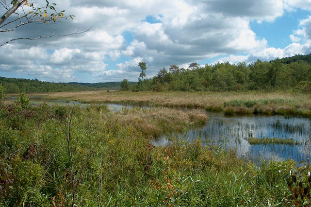 Important Bird Areas Program