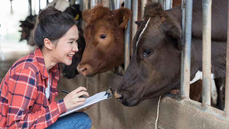 Animal Welfare