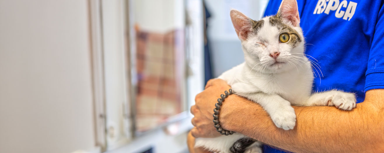 Rescue & Adoption Listings