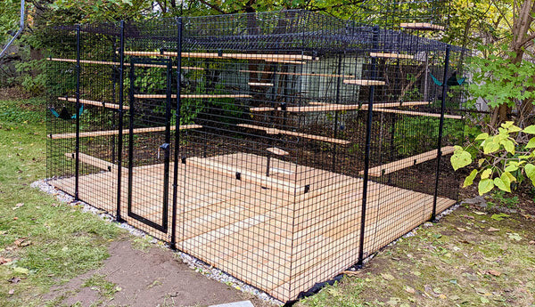 Custom Animal Habitats