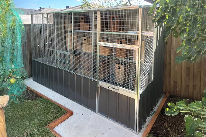 Bird Cages & Aviaries
