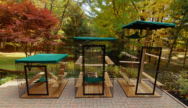 Cat Enclosures