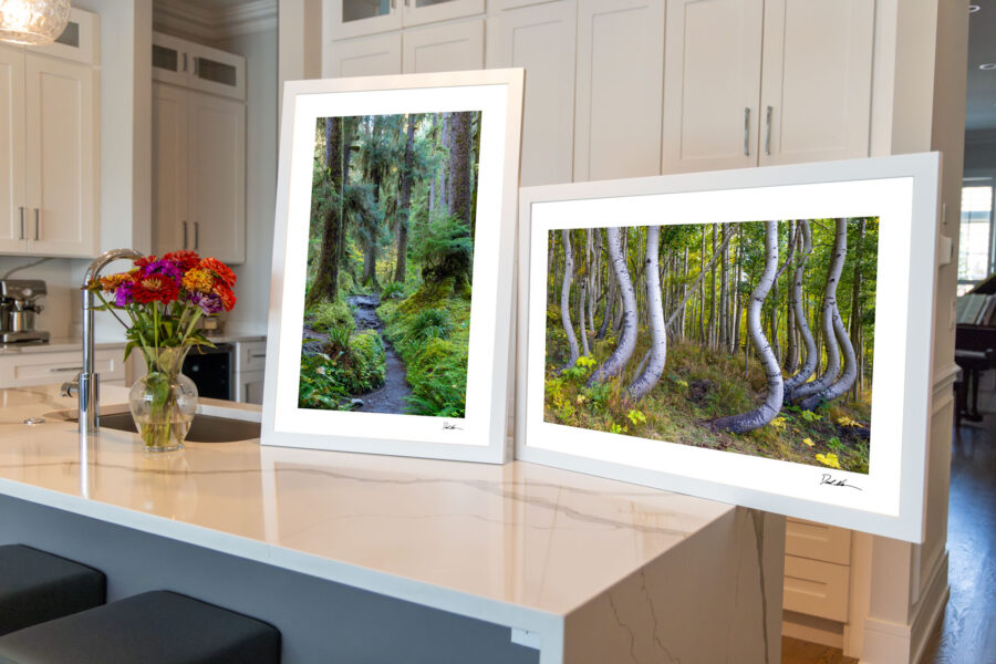 Limited Edition Prints