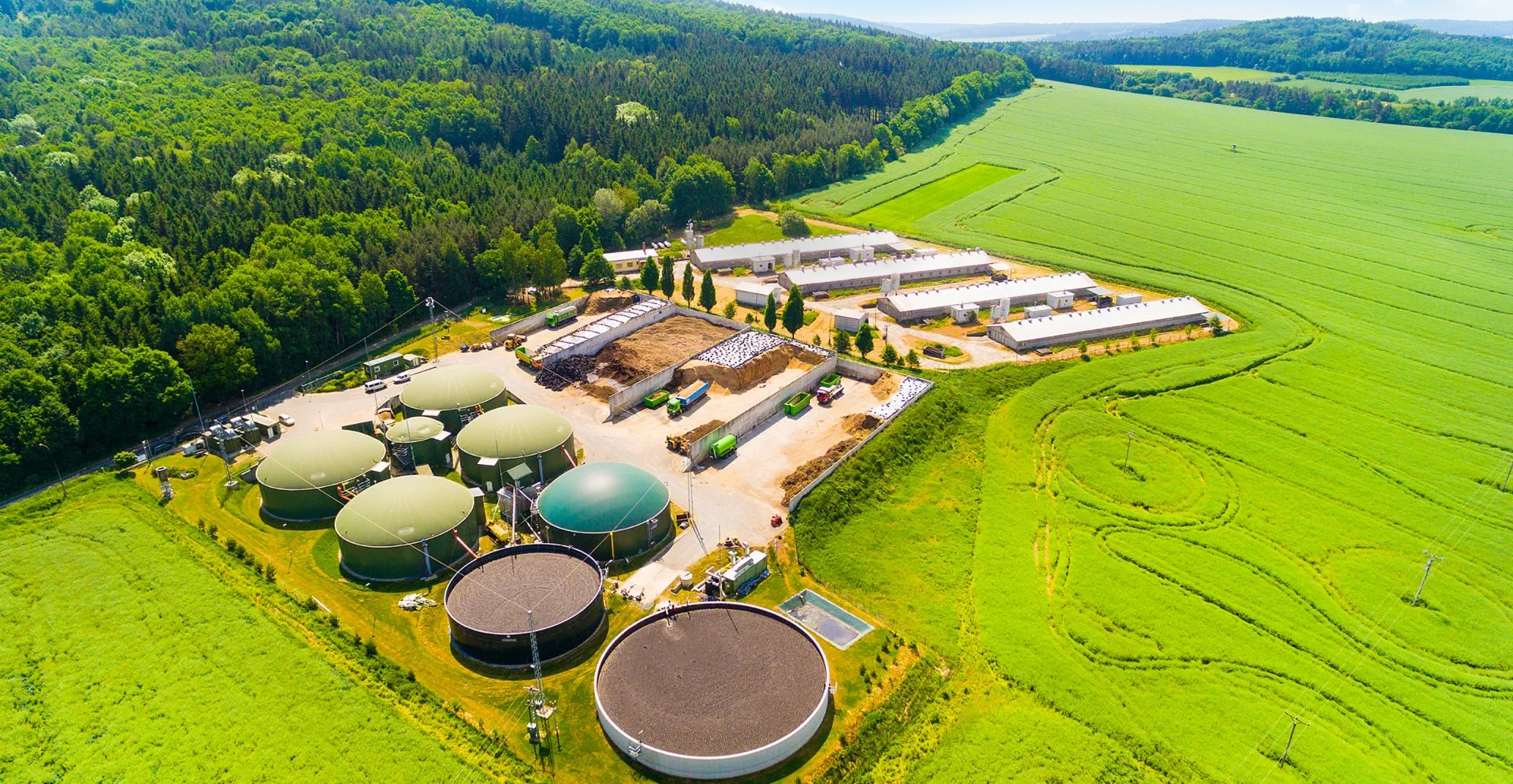 Renewable Natural Gas (RNG)